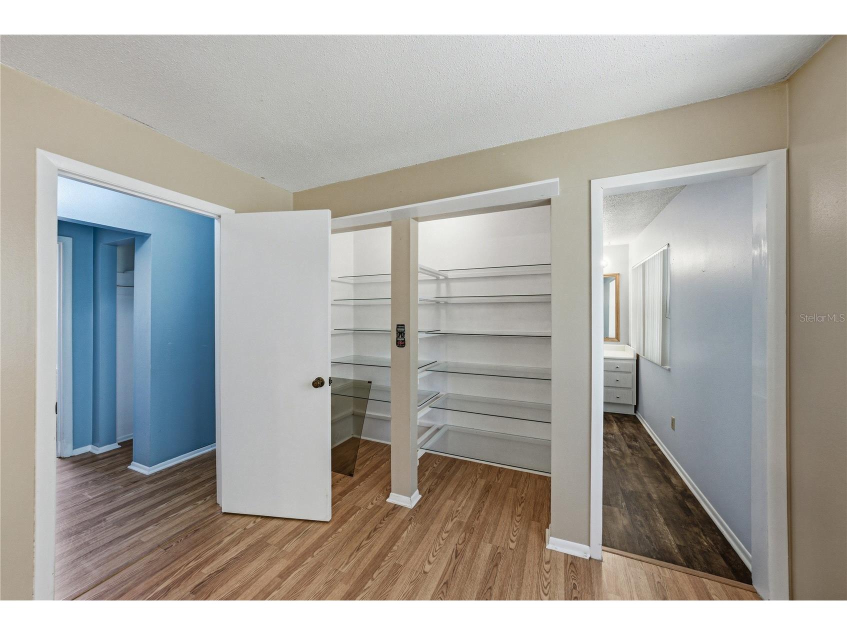 34240 Appaloosa Trail Wesley Chapel FL 33543 TB8513970 image30