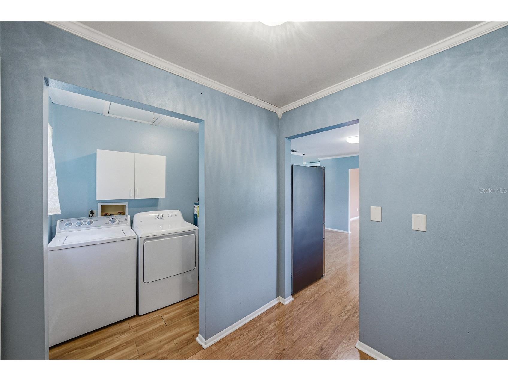 34240 Appaloosa Trail Wesley Chapel FL 33543 TB8513970 image38