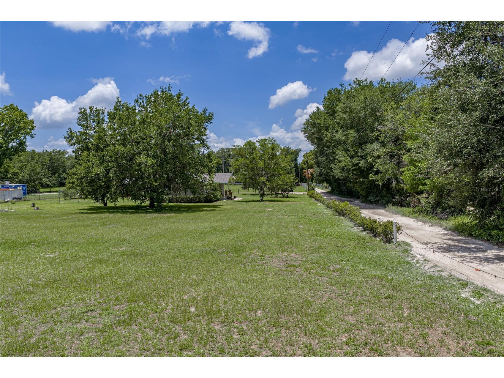 34240 Appaloosa Trail Wesley Chapel FL 33543 TB8513970 image46