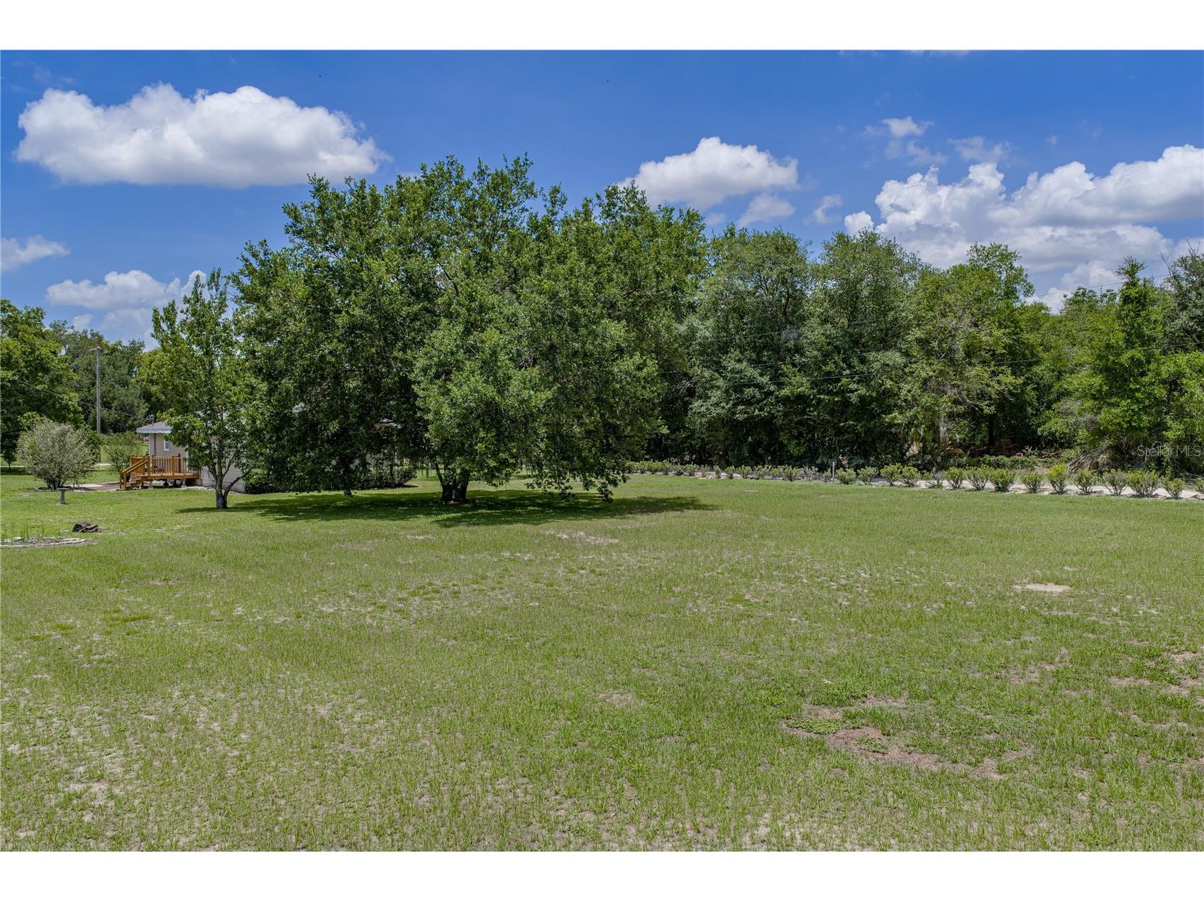 34240 Appaloosa Trail Wesley Chapel FL 33543 TB8513970 image47