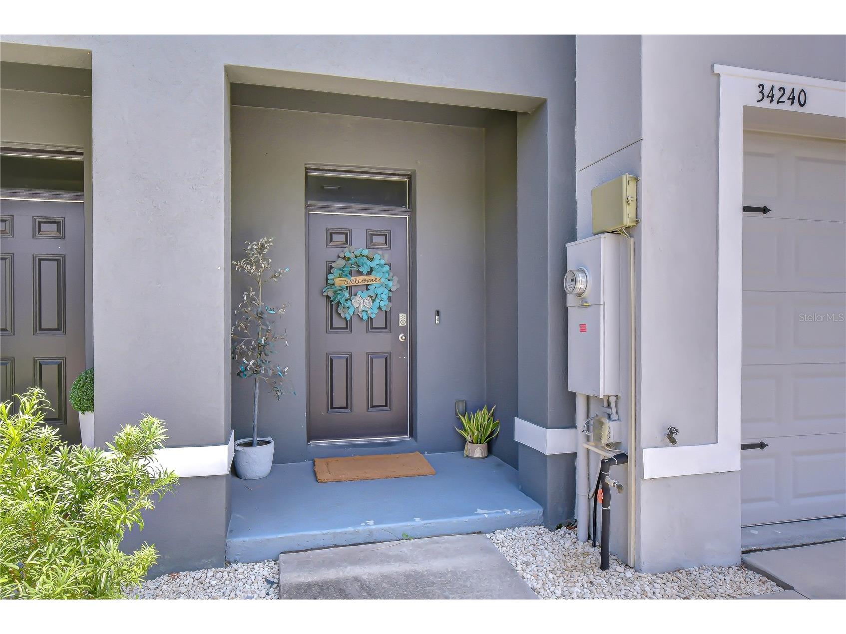 34240 Redwood Dawn Lane Wesley Chapel FL 33543 TB8522981 image4