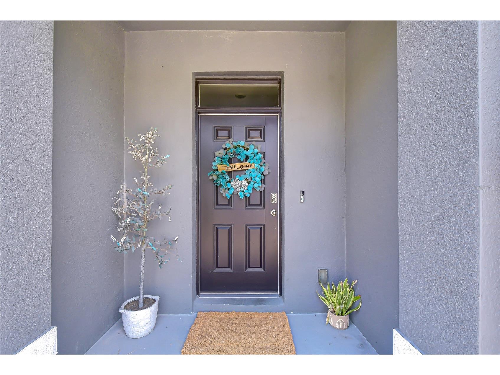 34240 Redwood Dawn Lane Wesley Chapel FL 33543 TB8522981 image5