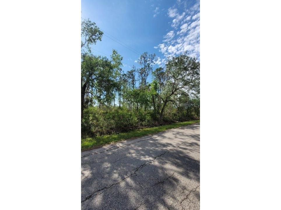 34241 Serene Drive Punta Gorda FL 33982 D6128091 image1