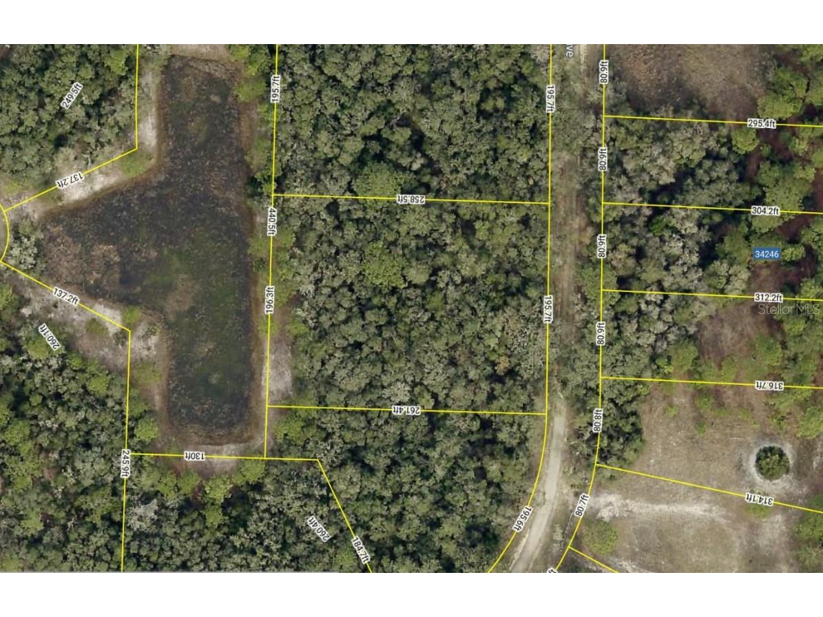 34245 Berryhill Drive Webster FL 33597 G5100912 image2