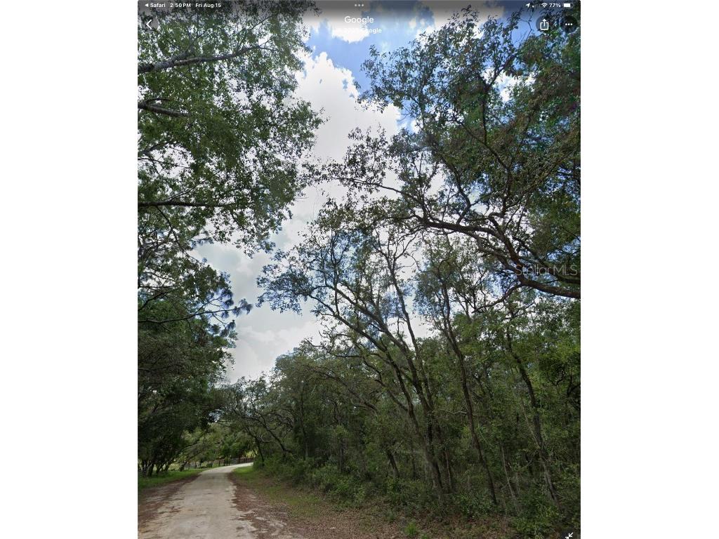 34245 Berryhill Drive Webster FL 33597 G5100912 image3