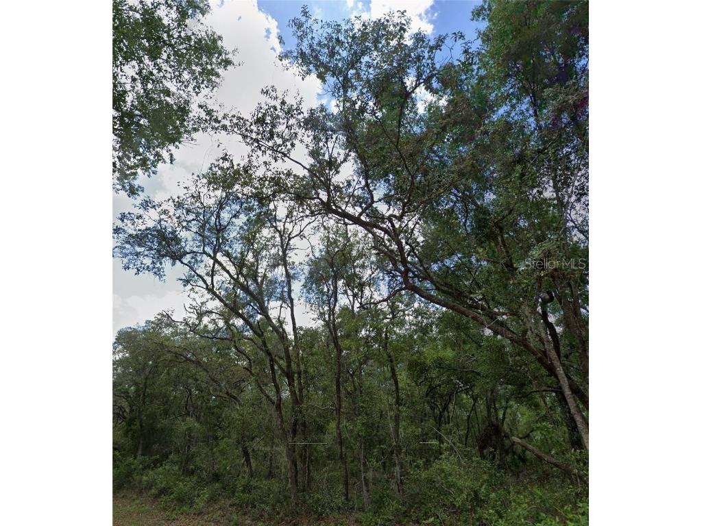 34245 Berryhill Drive Webster FL 33597 G5100912 image4