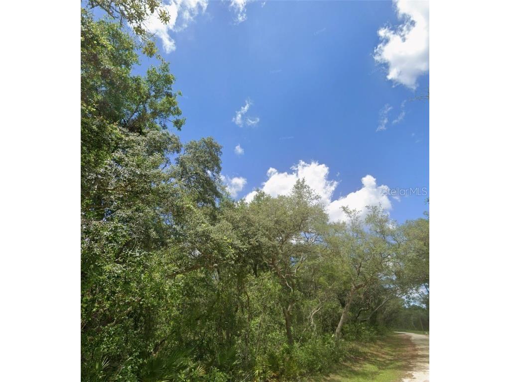 34245 Berryhill Drive Webster FL 33597 G5100912 image6
