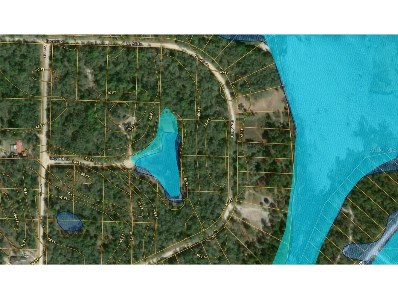 34245 Berryhill Drive Webster FL 33597 G5100912 image8