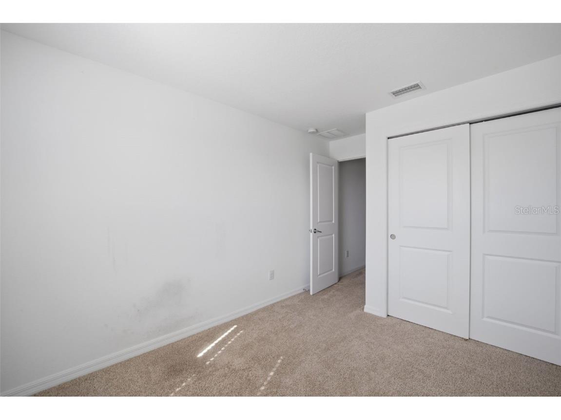 34247 Carronade Court Wesley Chapel FL 33543 TB8450078 image21