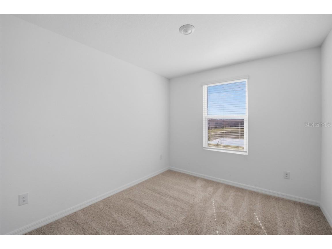 34247 Carronade Court Wesley Chapel FL 33543 TB8450078 image22