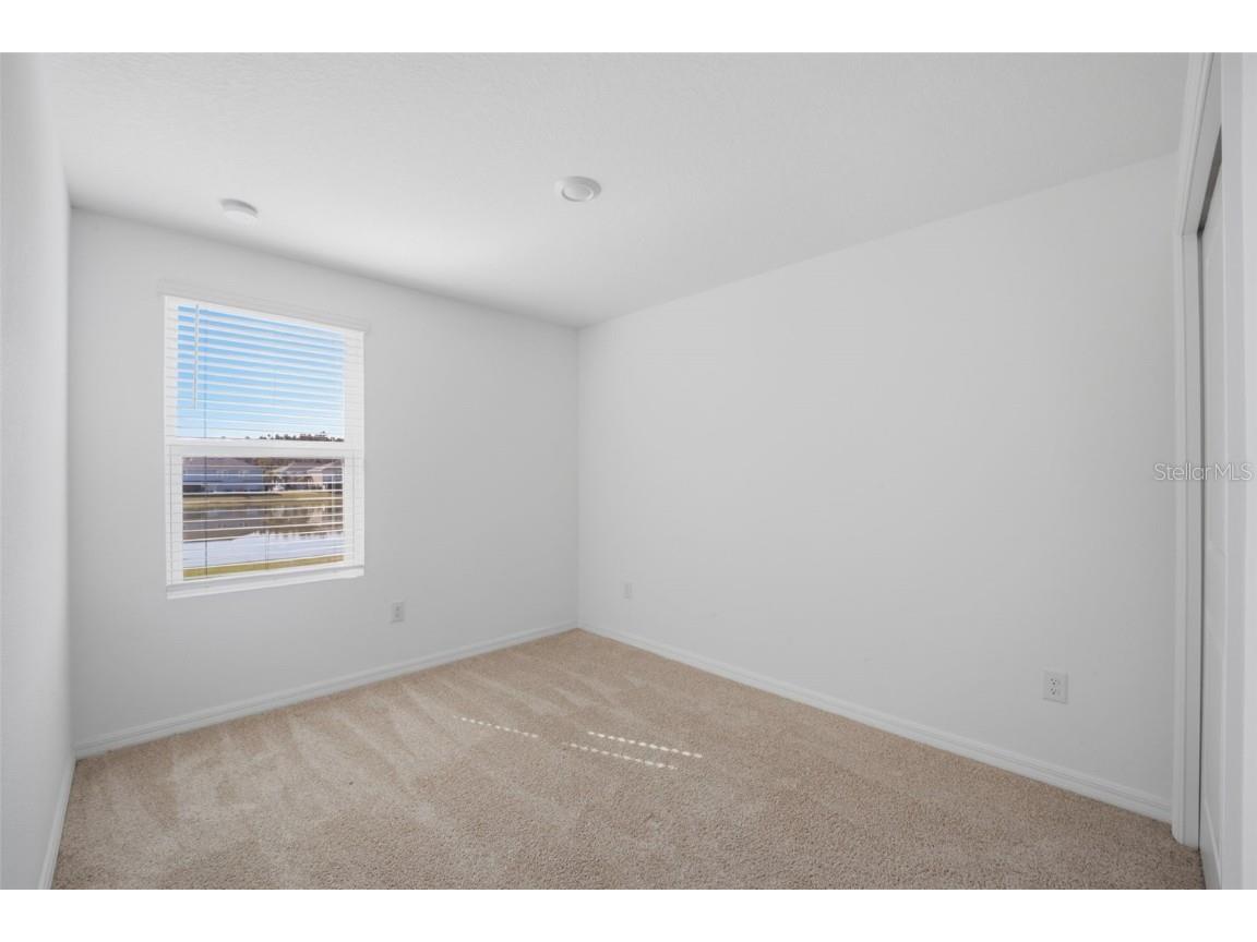 34247 Carronade Court Wesley Chapel FL 33543 TB8450078 image24