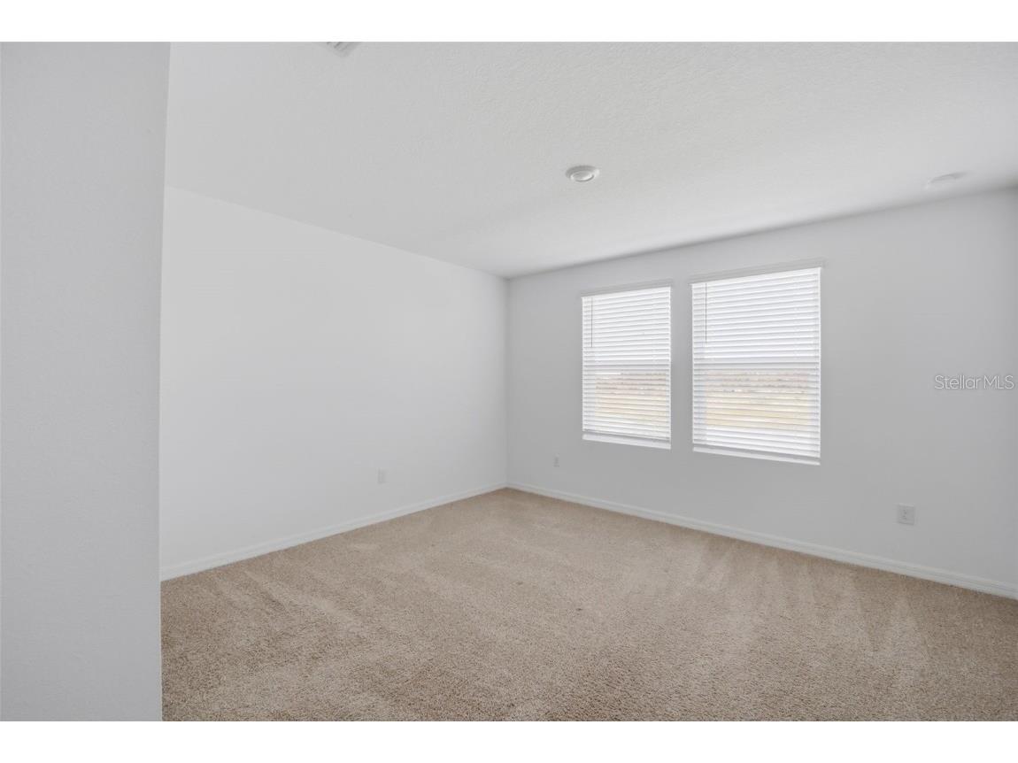 34247 Carronade Court Wesley Chapel FL 33543 TB8450078 image27