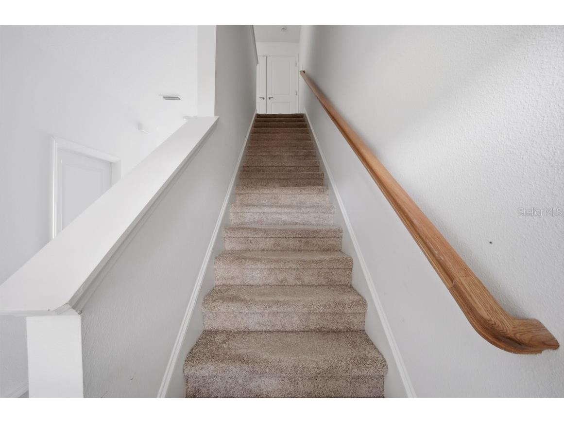 34247 Carronade Court Wesley Chapel FL 33543 TB8450078 image28