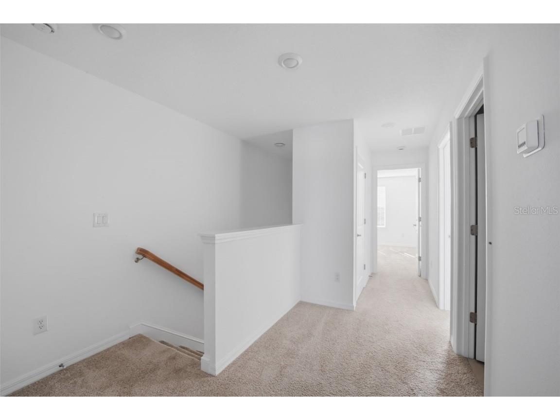 34247 Carronade Court Wesley Chapel FL 33543 TB8450078 image29