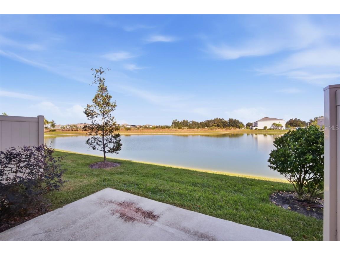 34247 Carronade Court Wesley Chapel FL 33543 TB8450078 image40