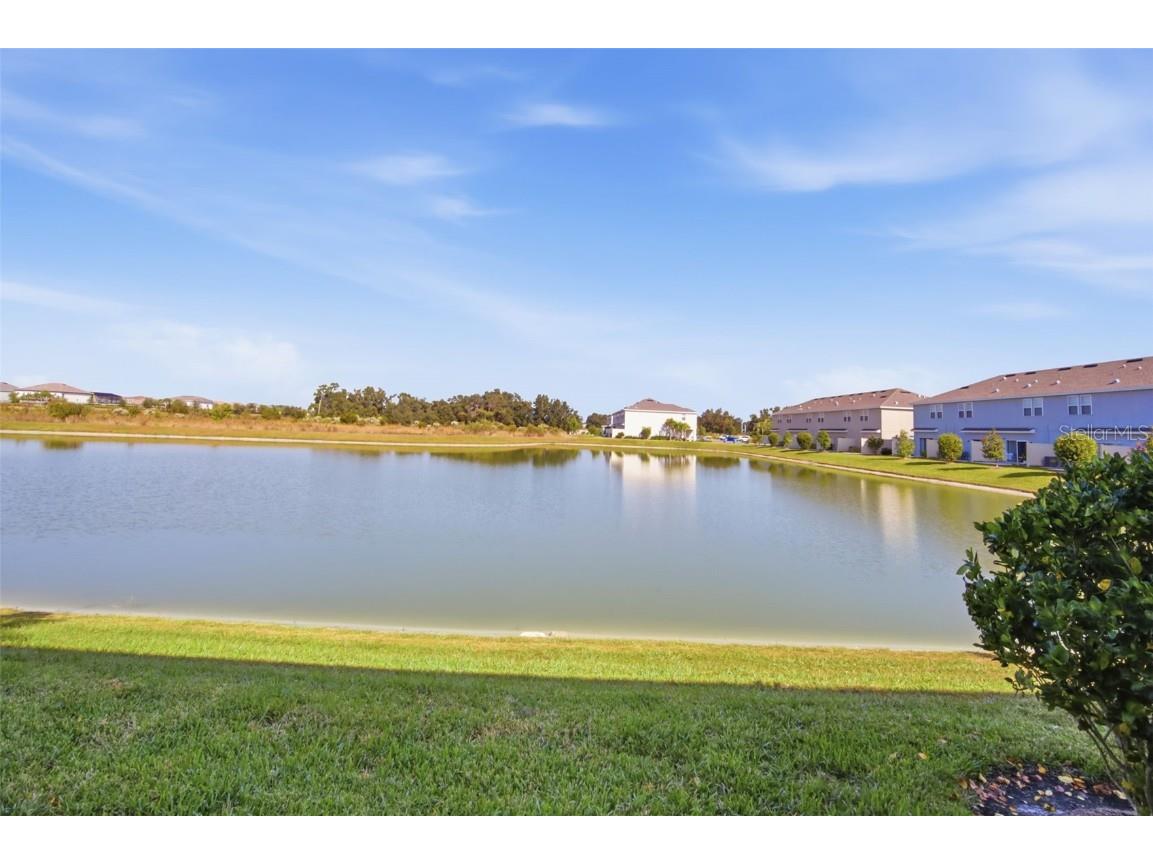 34247 Carronade Court Wesley Chapel FL 33543 TB8450078 image5