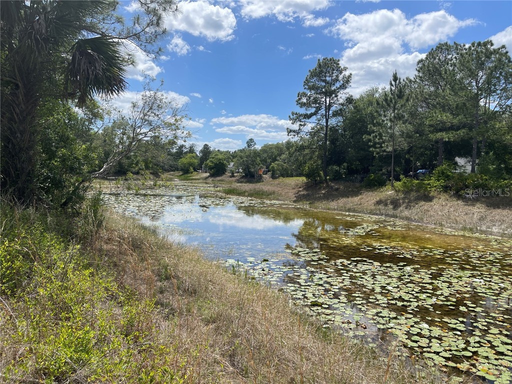 34249 Shaffer Drive Dade City FL 33523 - Long Lake G5081468 image1