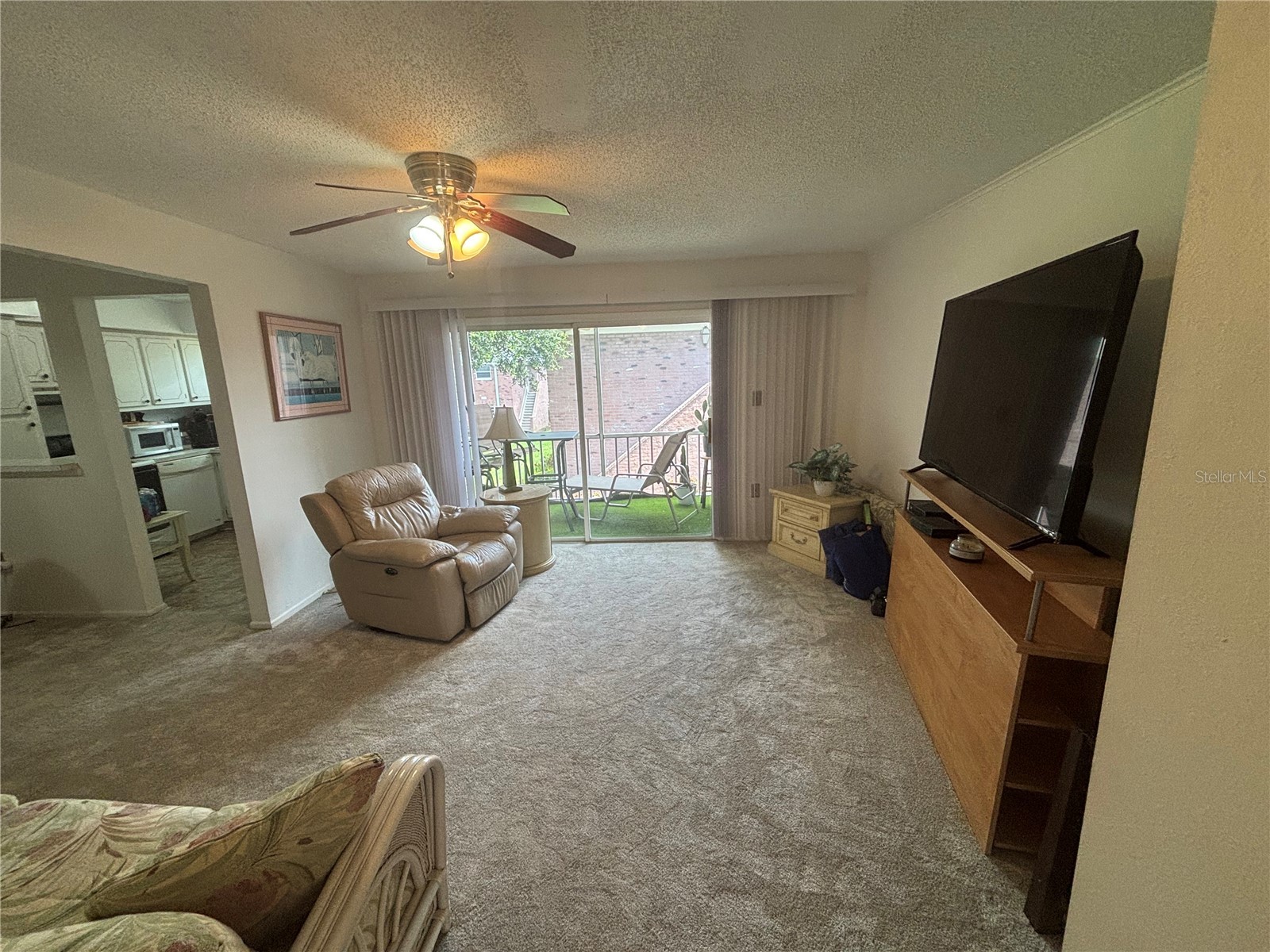3425 41st Terrace S #203 Saint Petersburg FL 33711 TB8513725 image13