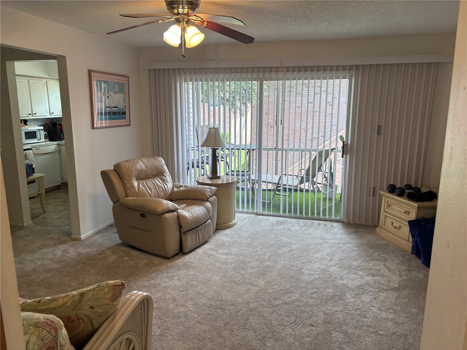 3425 41st Terrace S #203 Saint Petersburg FL 33711 TB8513725 image3