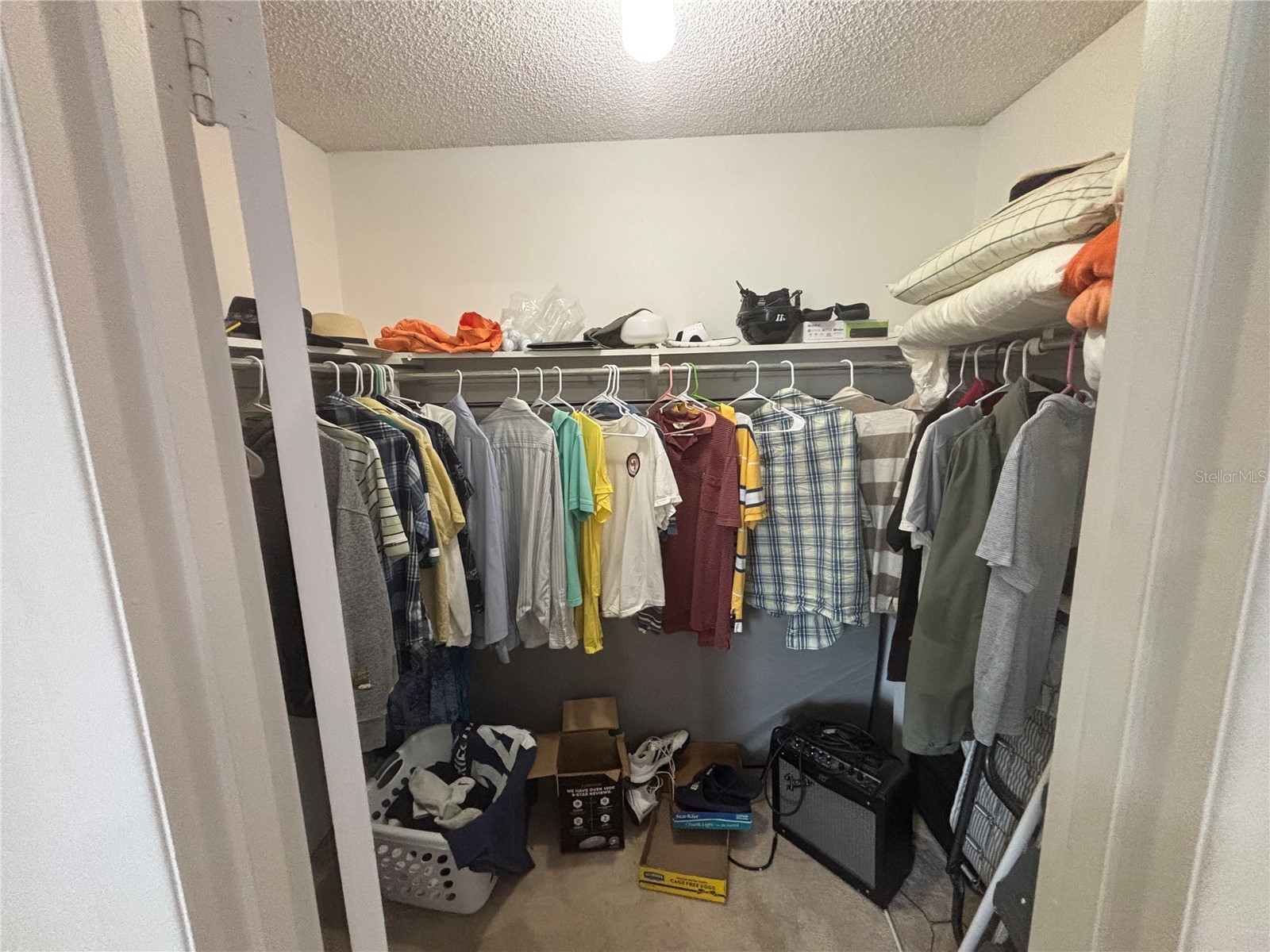 3425 41st Terrace S #203 Saint Petersburg FL 33711 TB8513725 image6