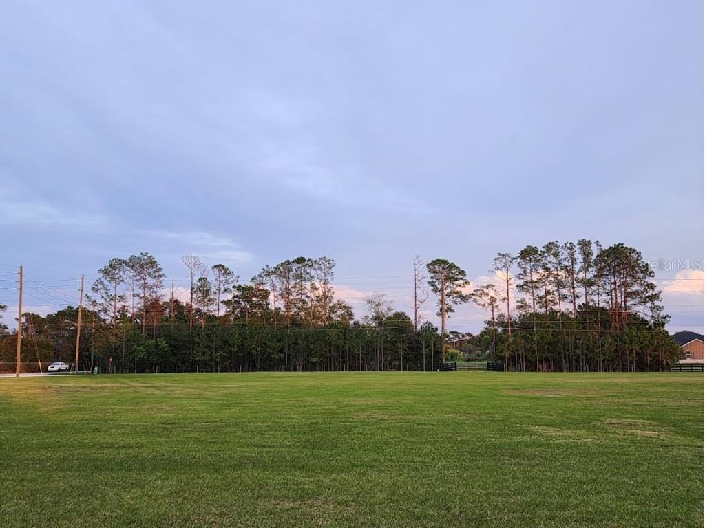 3425 Cord Avenue Saint Cloud FL 34772 S5124705 image3