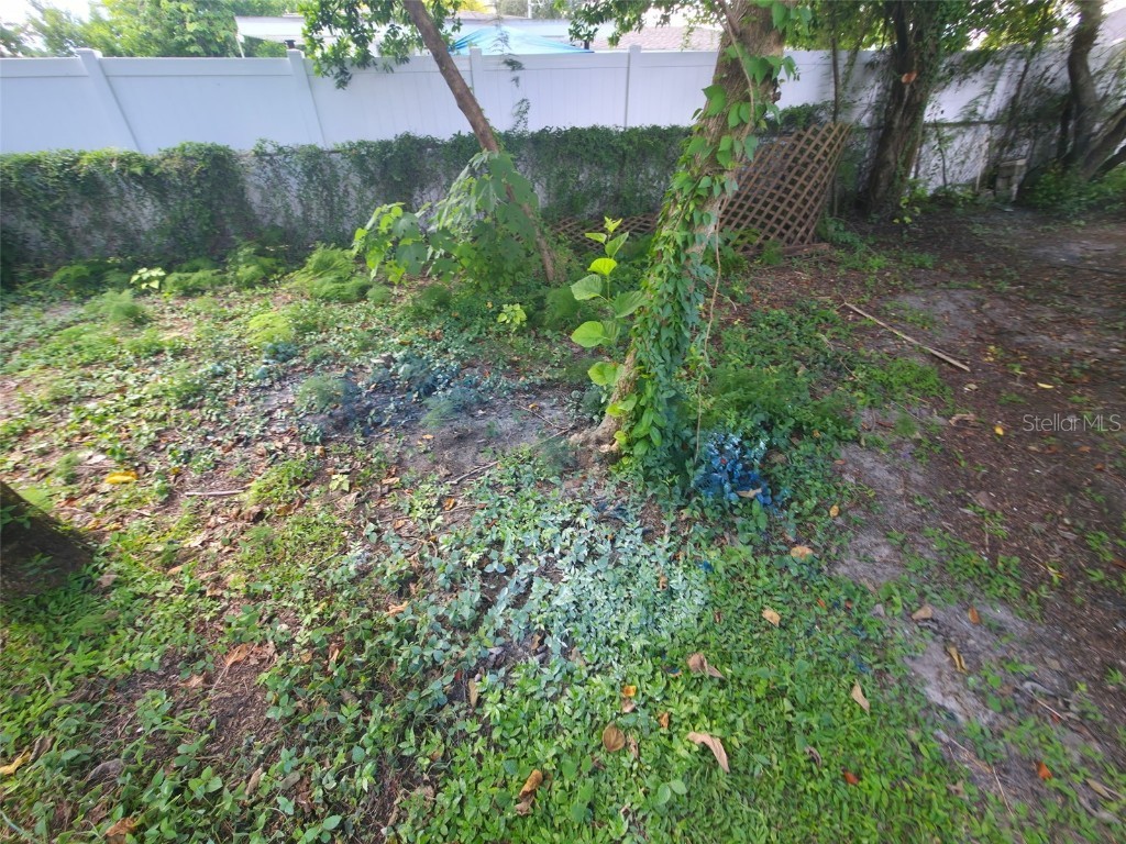 3425 E Powhatan Avenue Tampa FL 33610 TB8432115 image17