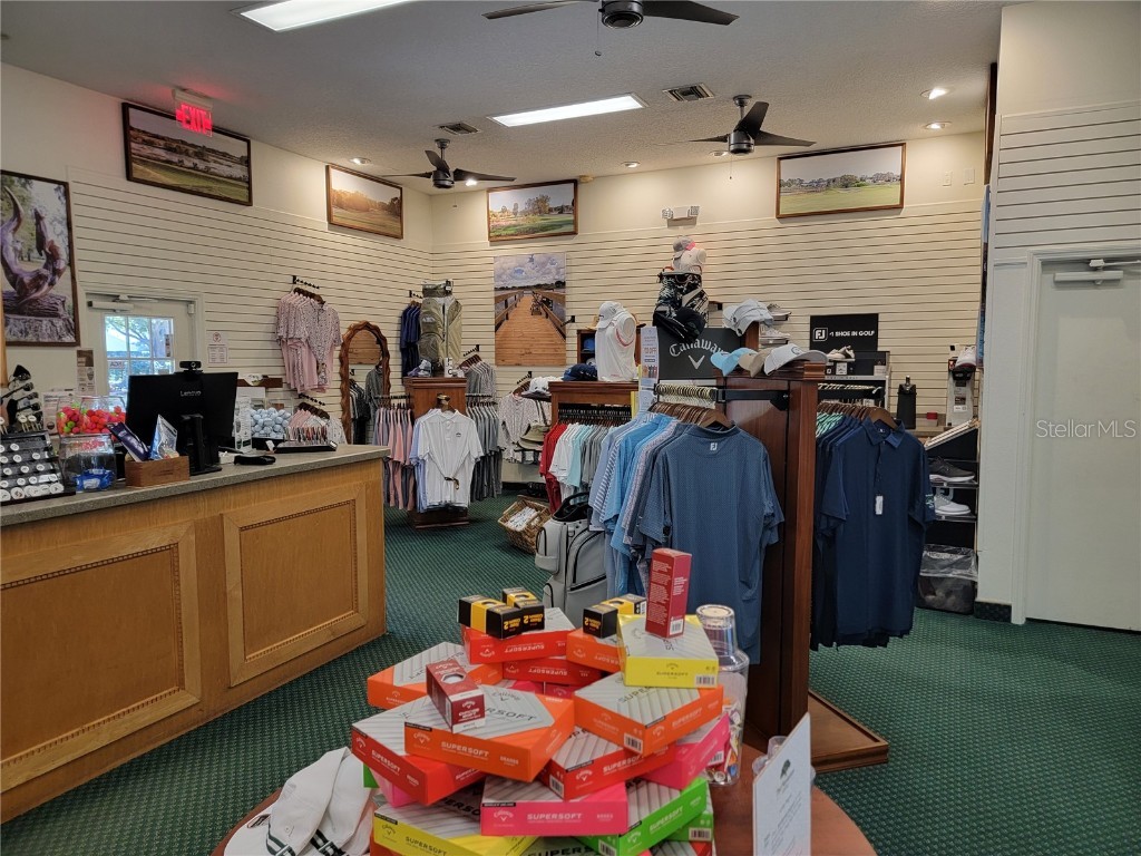 3425 Mount Hope Loop Leesburg FL 34748 G5105235 image90