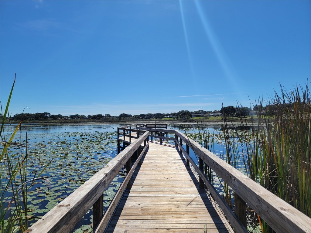 3425 Mount Hope Loop Leesburg FL 34748 G5105235 image91