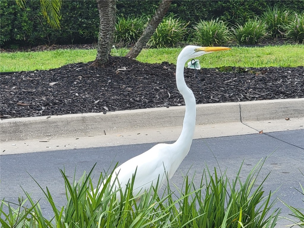 3425 Mount Hope Loop Leesburg FL 34748 G5105235 image94