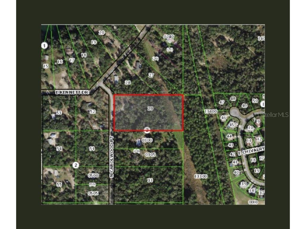 3425 N Carolwood Point Hernando FL 34442 U8198684 image1