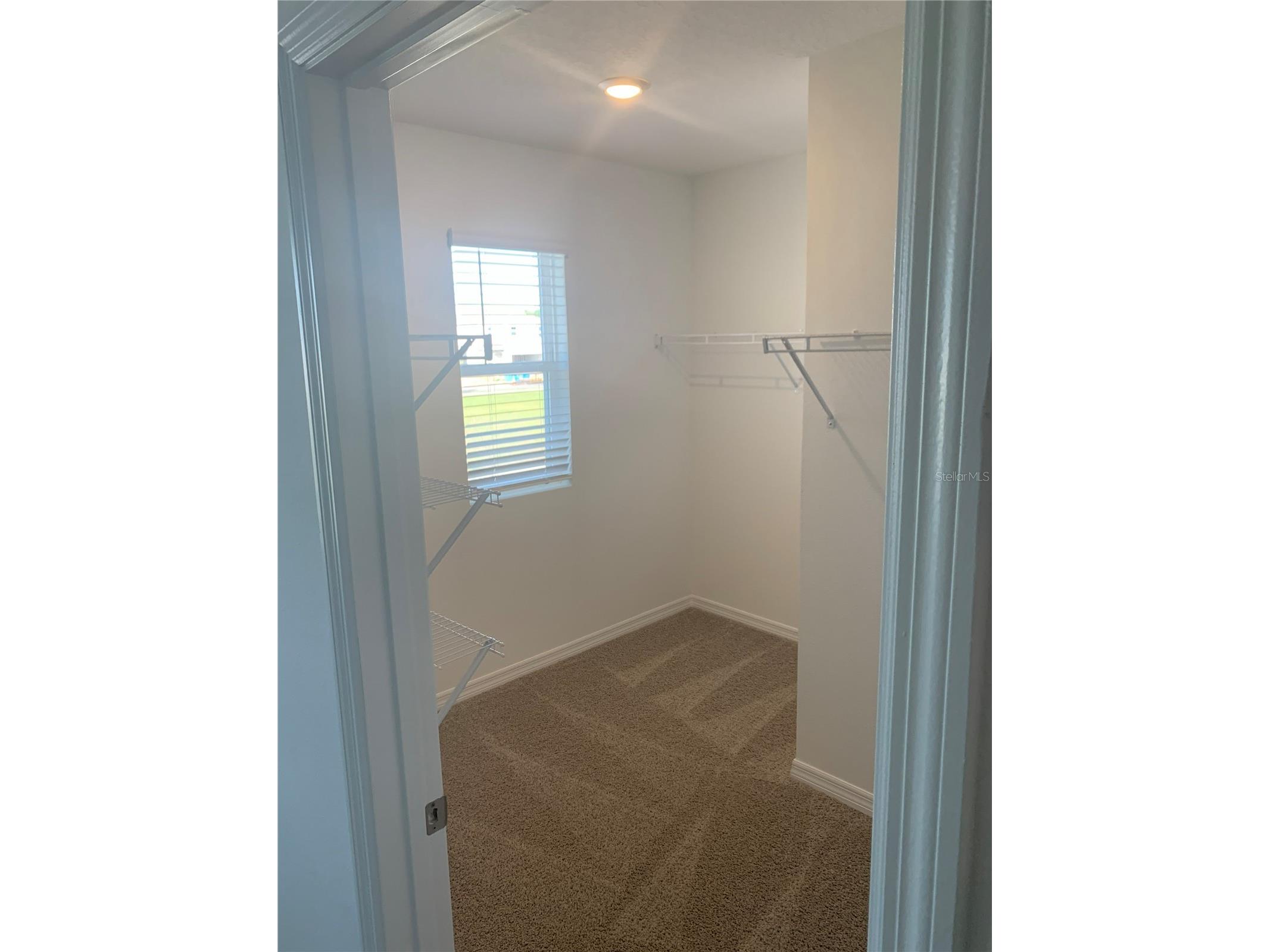 3425 Nettle Loop Tavares FL 32778 O6392973 image15