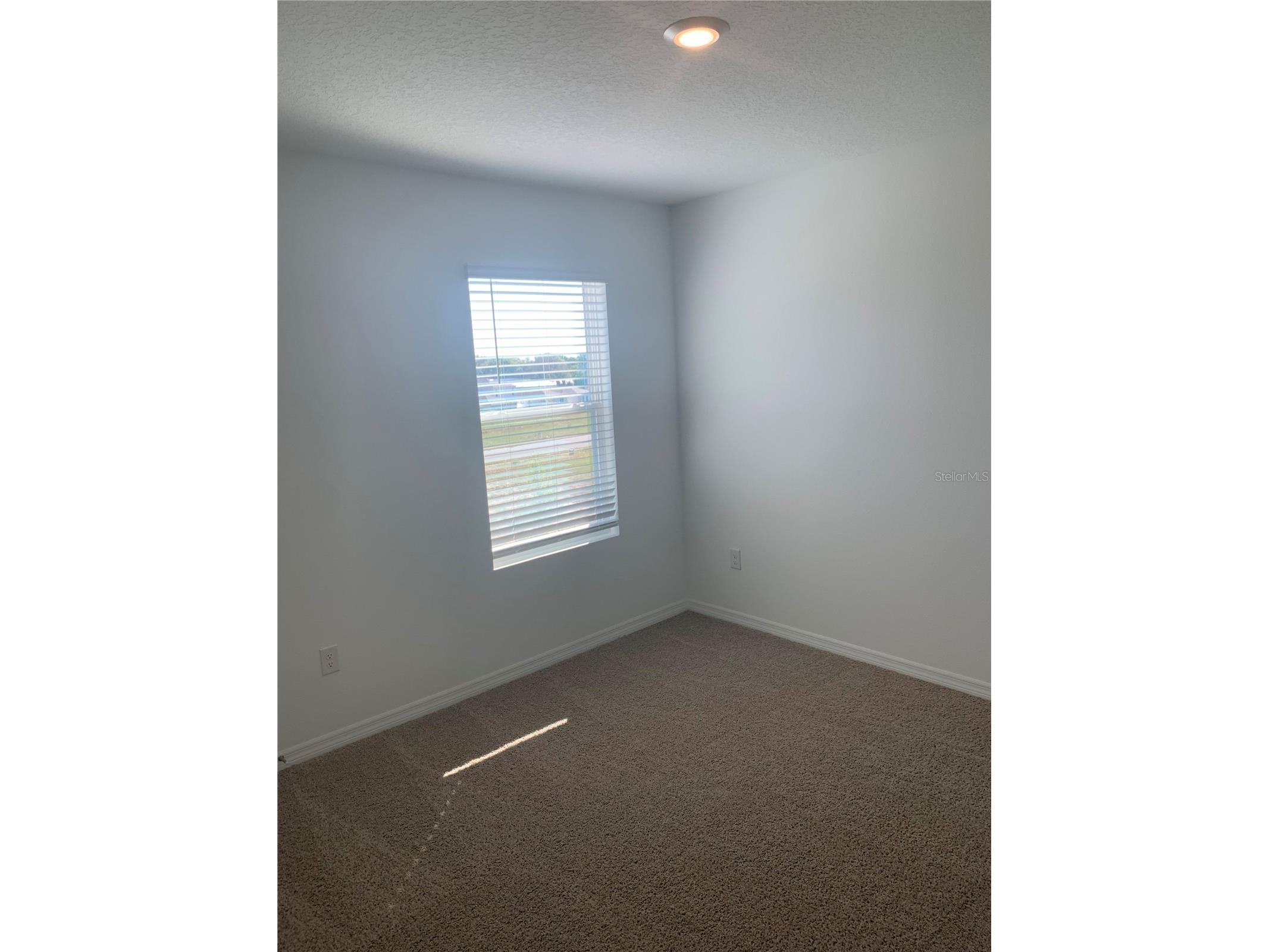 3425 Nettle Loop Tavares FL 32778 O6392973 image17