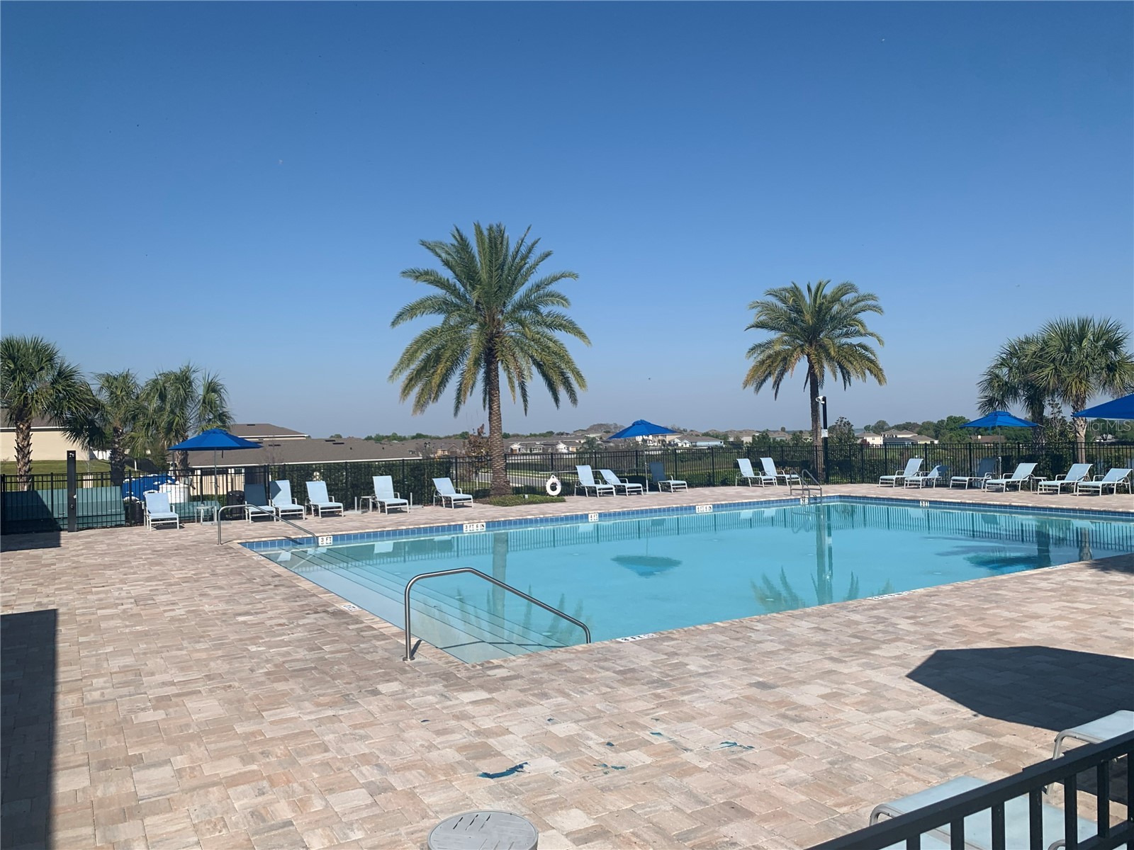 3425 Nettle Loop Tavares FL 32778 O6392973 image22