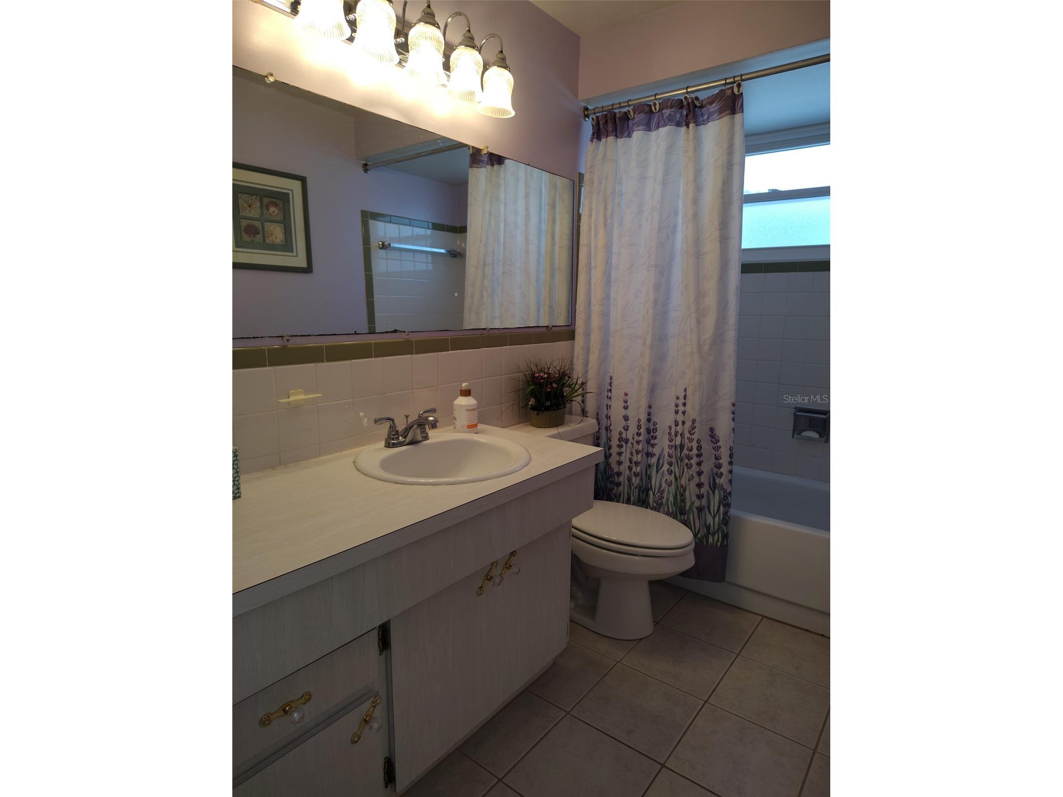 3425 Richboro Drive Holiday FL 34691 TB8476660 image10