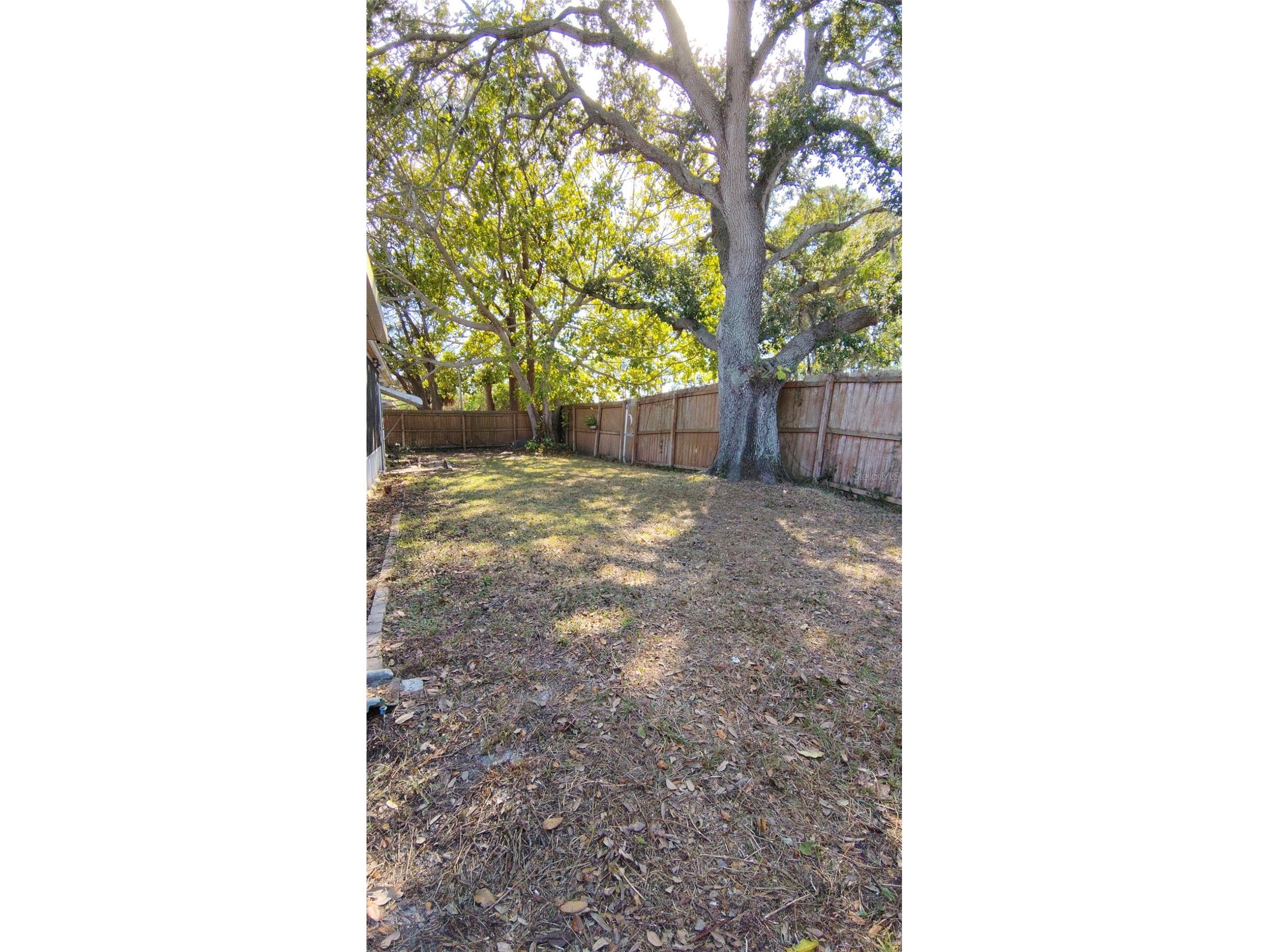 3425 Richboro Drive Holiday FL 34691 TB8476660 image14