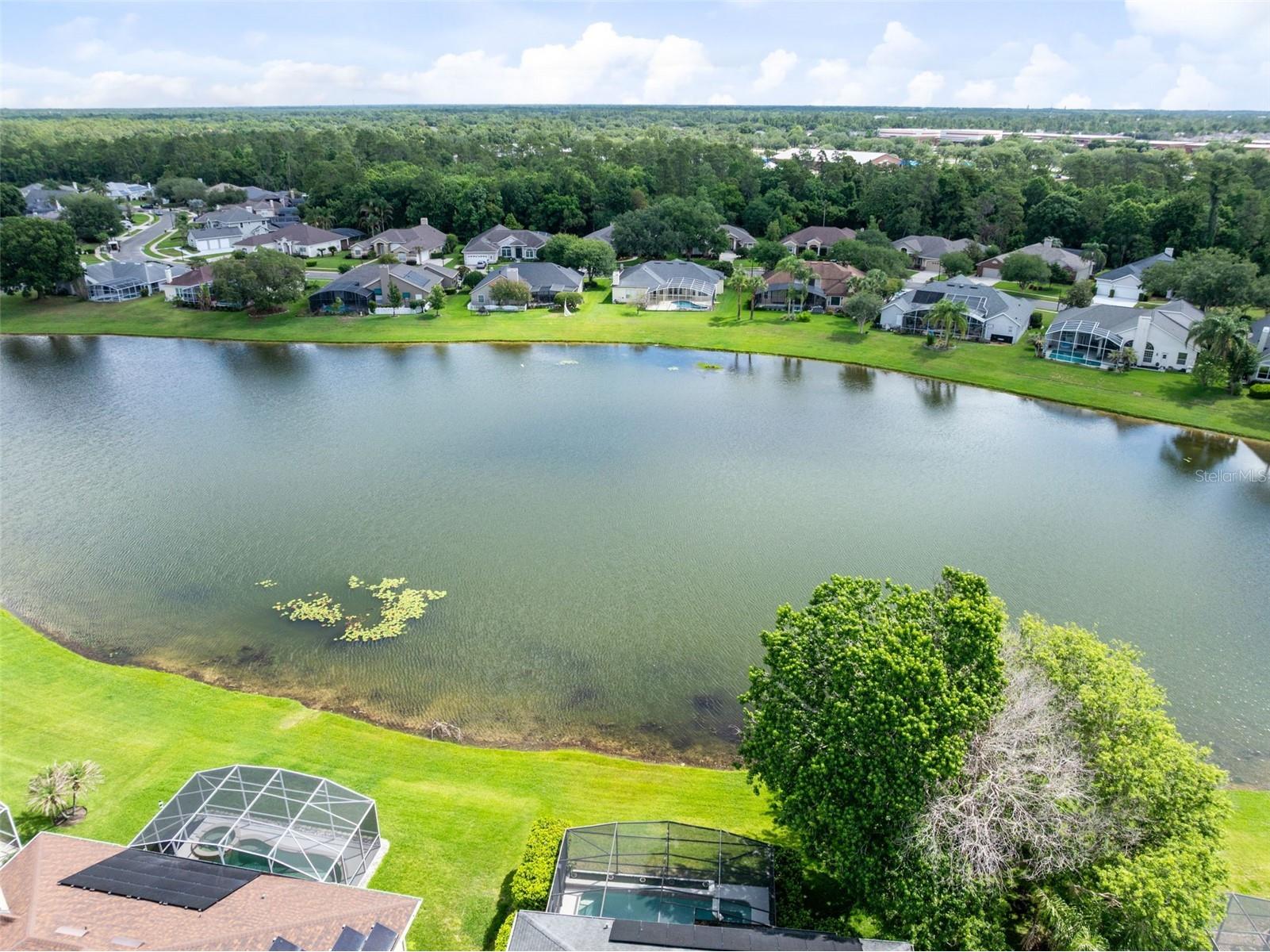 3425 Sterling Lake Circle Oviedo FL 32765 O6408800 image4