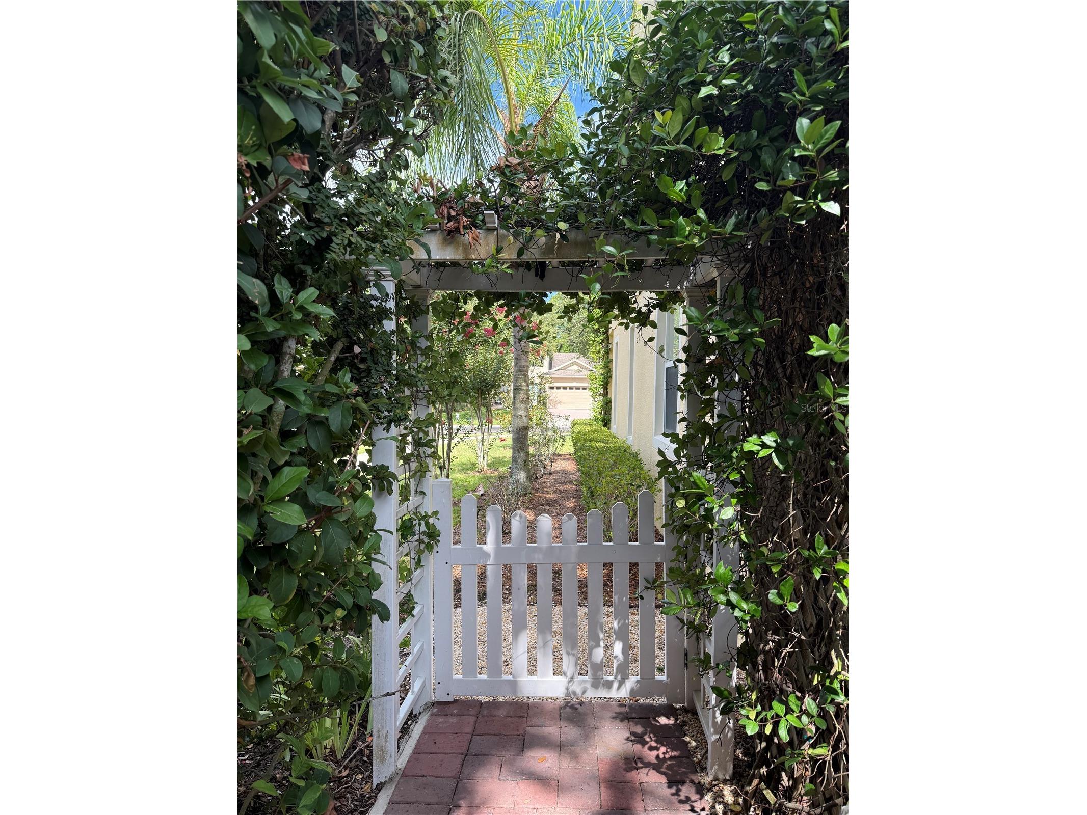 3425 Turningwind Lane Winter Garden FL 34787 O6419730 image22