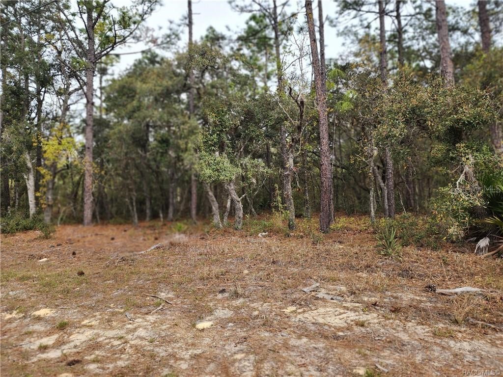 3425 W Brazilnut Road Beverly Hills FL 34465 G5066665 image1