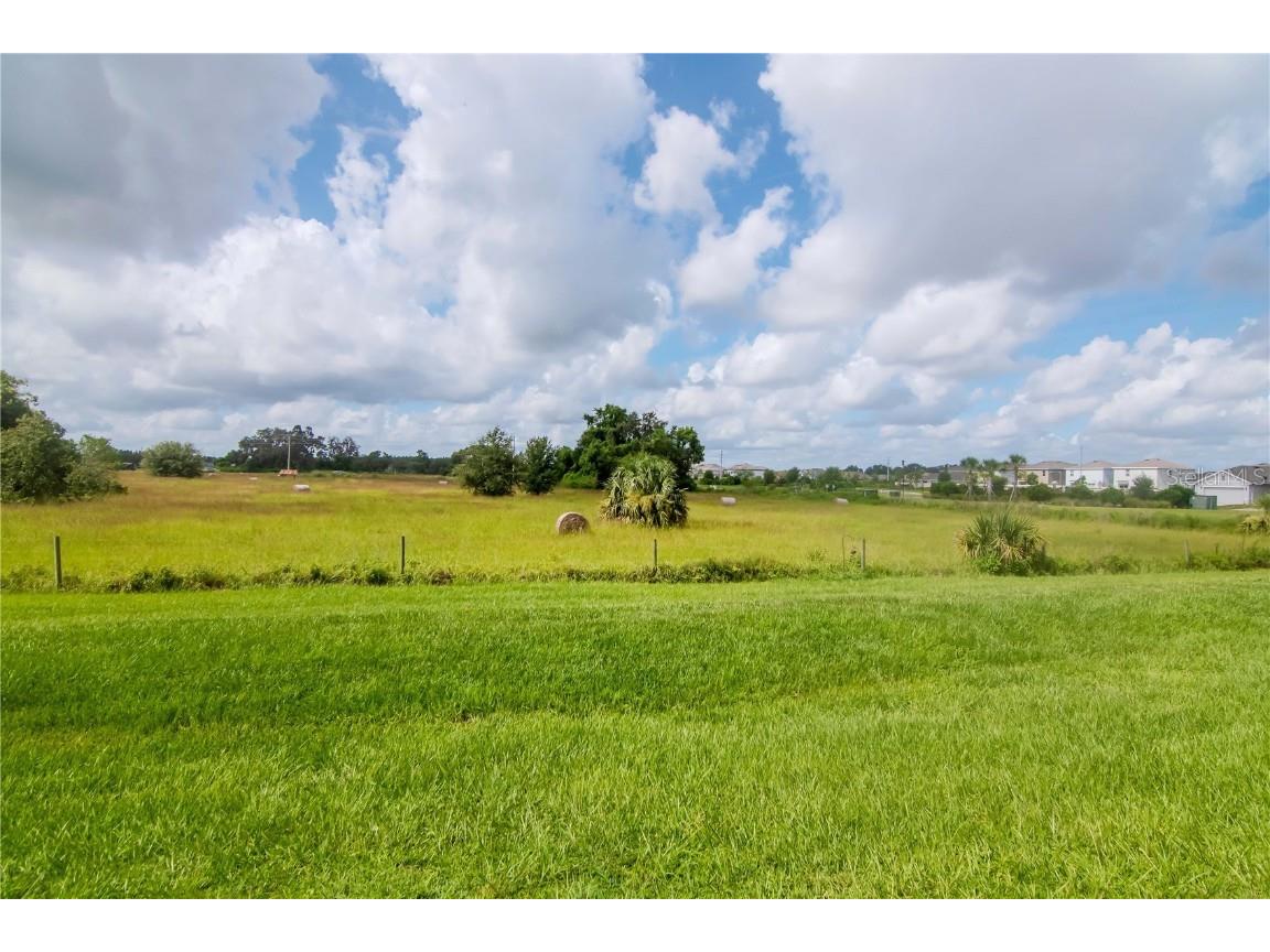 34252 Redwood Dawn Lane Wesley Chapel FL 33543 TB8400263 image14