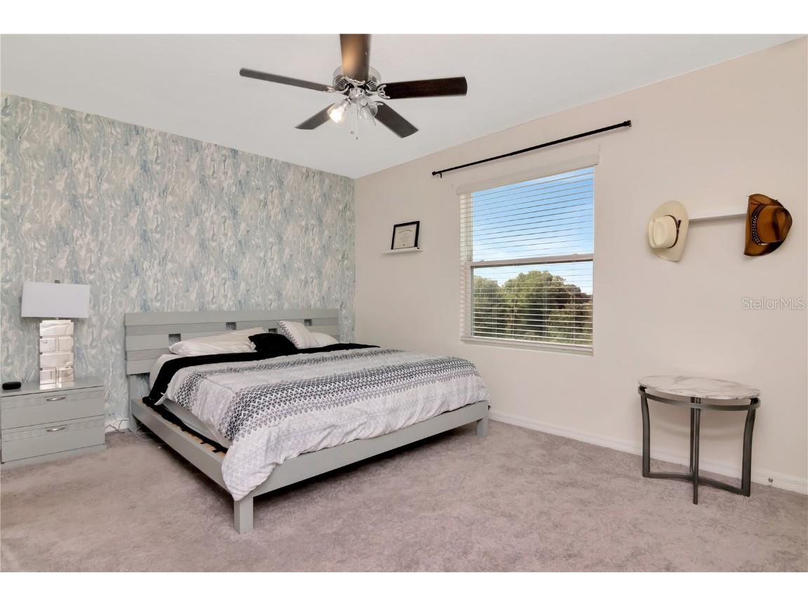 34252 Redwood Dawn Lane Wesley Chapel FL 33543 TB8400263 image22