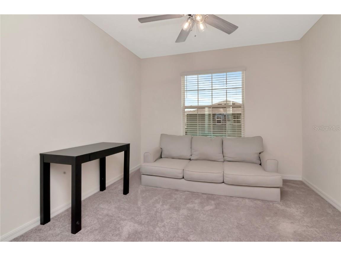 34252 Redwood Dawn Lane Wesley Chapel FL 33543 TB8400263 image26