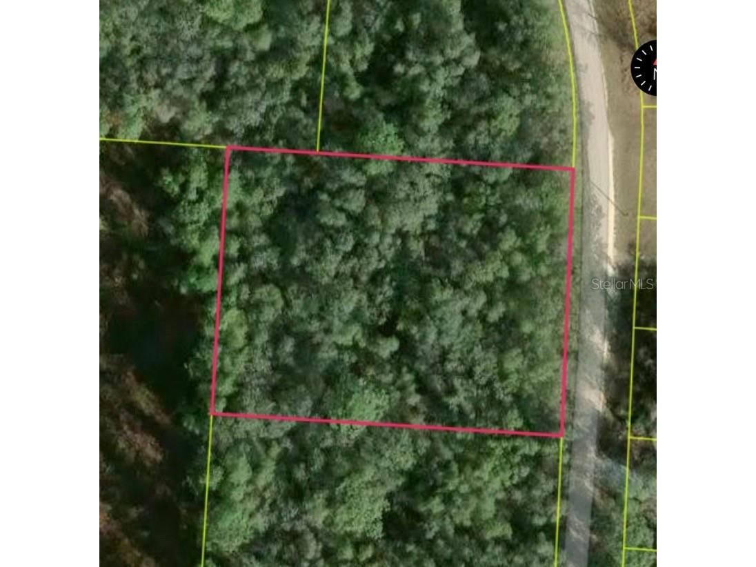 34253 Berryhill Drive Webster FL 33597 S5153128 image2