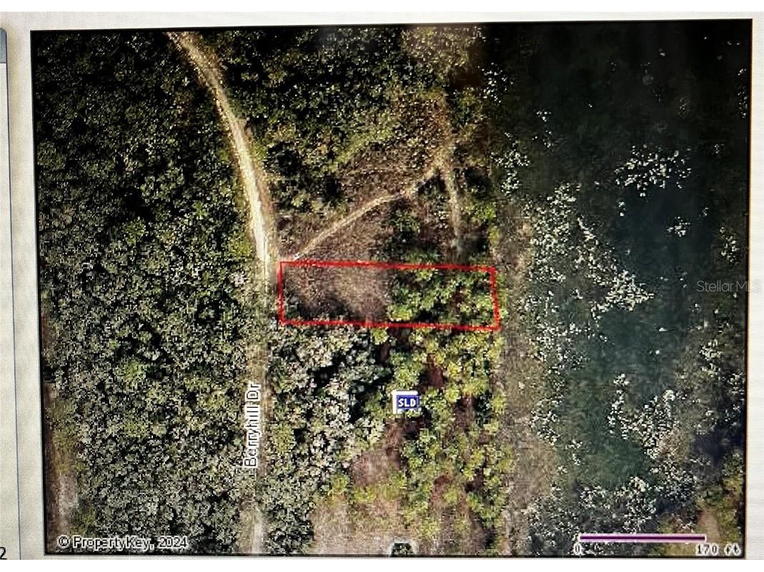 34254 Berryhill Drive Webster FL 33597 T3506261 image1