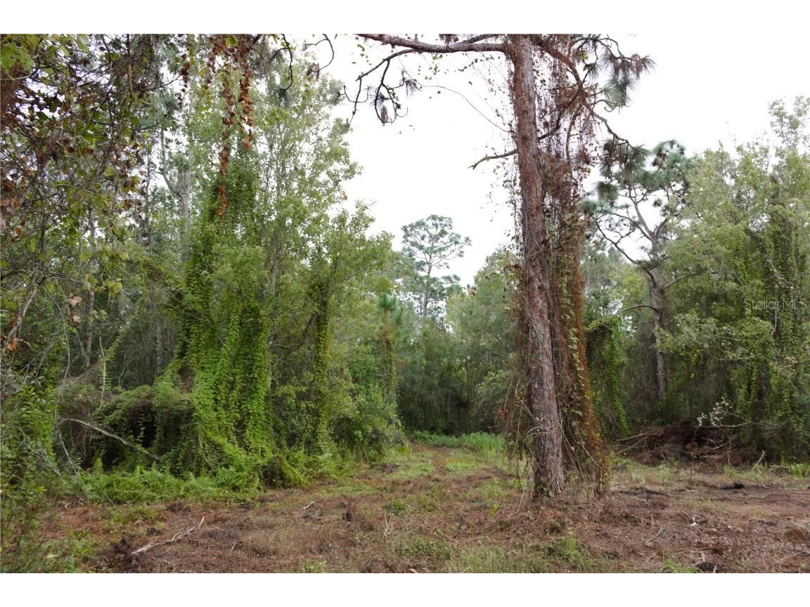 34254 NW 21st Avenue Okeechobee FL 34972 OK225778 image5