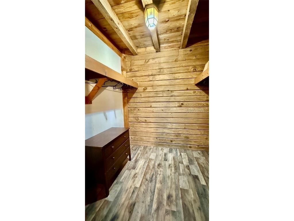 34256 Belt Drive Dade City FL 33523 TB8428836 image21