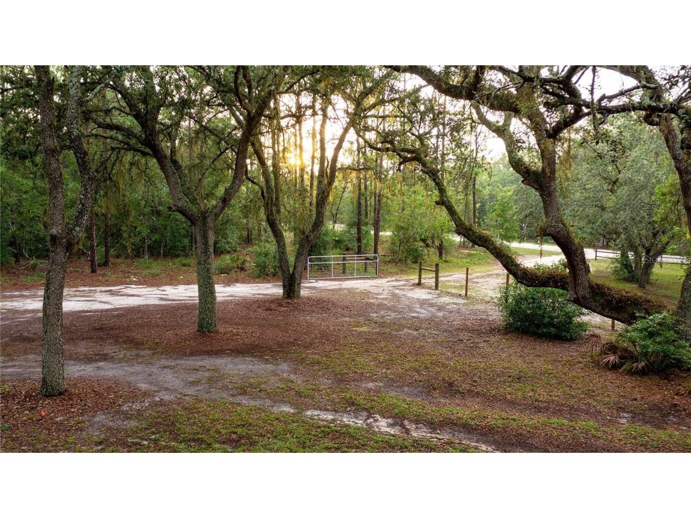 34256 Belt Drive Dade City FL 33523 TB8428836 image44