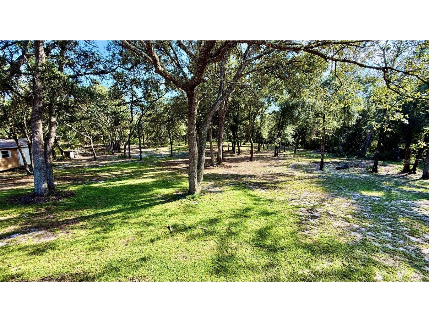 34256 Belt Drive Dade City FL 33523 TB8428836 image45