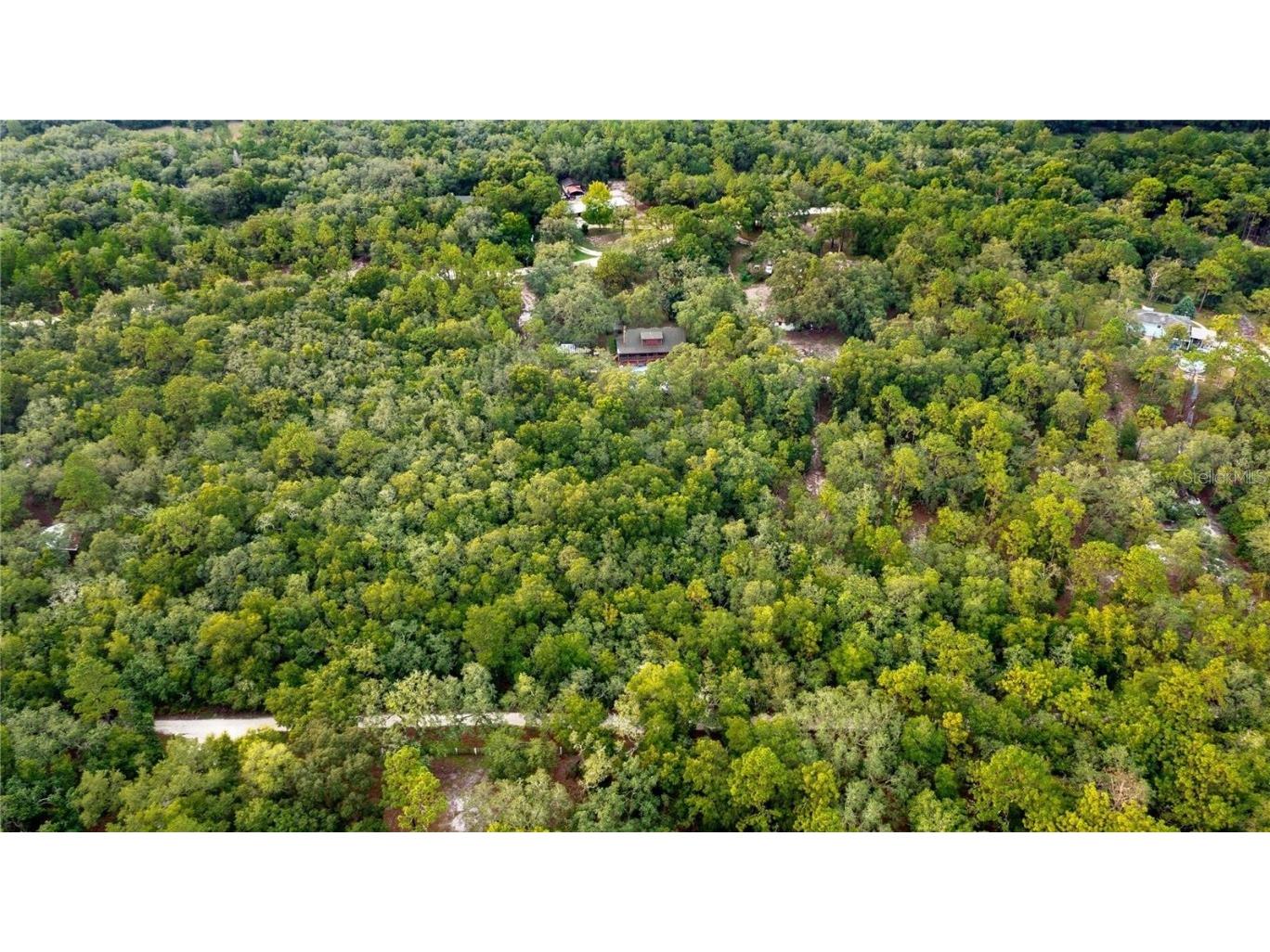 34256 Belt Drive Dade City FL 33523 TB8428836 image46