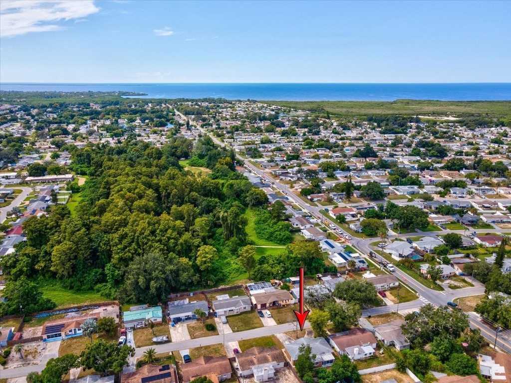 3426 Kimberly Oaks Drive Holiday FL 34691 TB8431322 image32