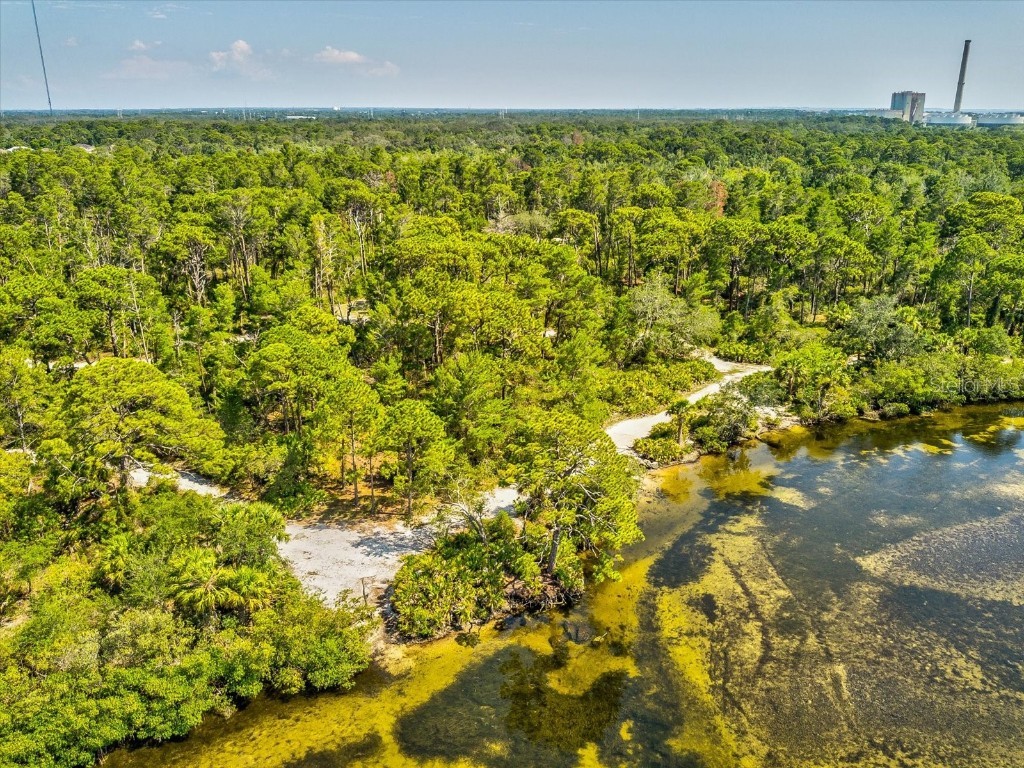 3426 Kimberly Oaks Drive Holiday FL 34691 TB8431322 image35